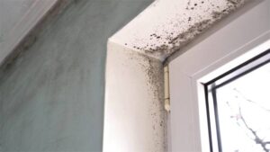 Identifier les causes de l'humidité dans les maisons à Rouille